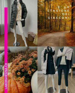 #locarnocittavecchia #locarnocity #modemontecarlo #calamar_offical #fynch_hatton #casamoda_official #olympmen #seabarrier_official #digelofficial #hajopolo #locarno_ascona #ticinoturismo #bellinzona #idearegalouomo #cittàvecchia #mayoralnewborn #mayoralmodainfantil #abbigliamentobimbi #vetono #locarno #simclan #abbigliamodonna #donnacurvy #lagomaggiore #idearegalodonna #bellinzona #ascona_locarno #lebekfashion #BlueJoint #tonifashion_offical